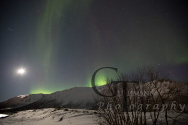 Aurora Borealis Nordlichter Polarlichter Northern Lights