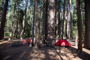John-Muir-Trail-01-Yosemite-Backpacker-Campground