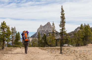 Der John Muir Trail – Überblick unserer Artikel