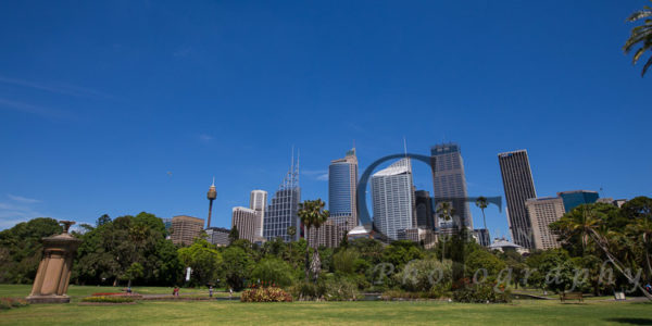 Die Skyline von Sydney hinter dem botanischen Garten