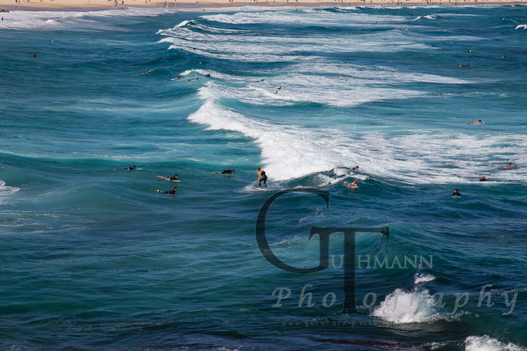 Surfer in den Wellen vom Bondi Beach