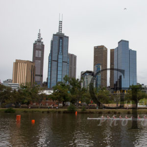 Melbourne - Rudern auf dem Yarra River