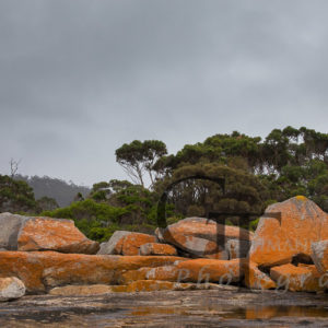 Tasmanien Bicheno
