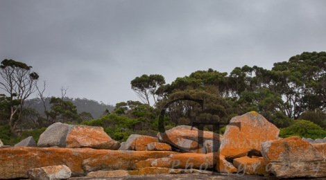 Rote Felsen an der Küste von Bicheno