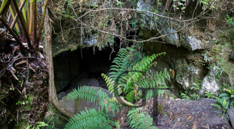 Mystery Creek mit Mystery Cave