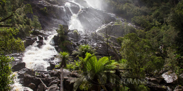 Tasmanien St Columba Wasserfall