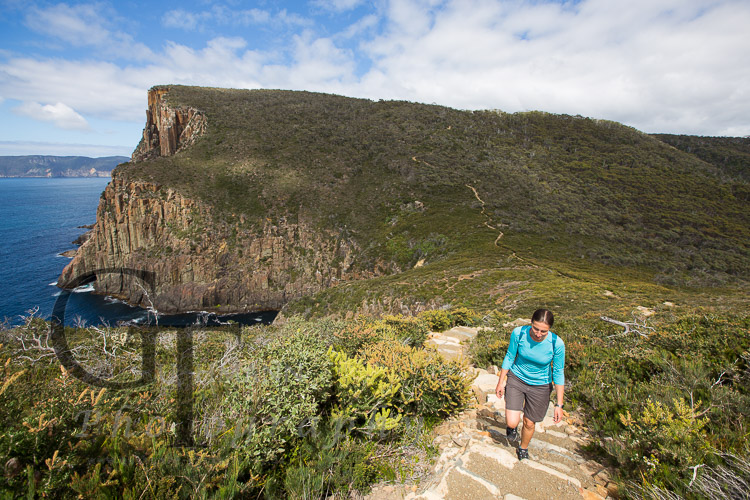 Tasmanien Fortescue Wanderweg zum Cape Haut