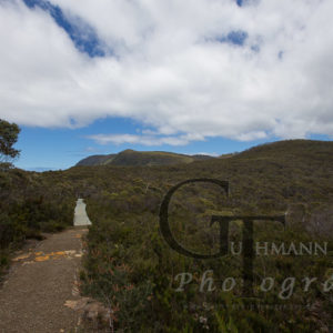 Tasmanien Fortescue gut ausgebauter Weg zum Cape Pillar