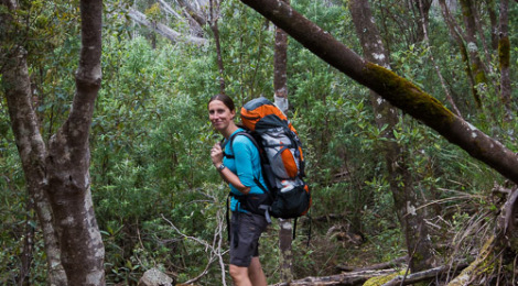 Tasmanien Fortescue Wanderweg über Mount Fortescue