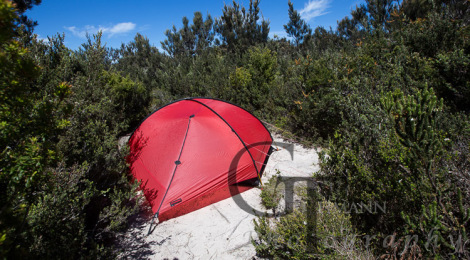 Tasmanien Fortescue Zeltplatz auf dem Weg zum Cape Pillar Hurrikane Heights