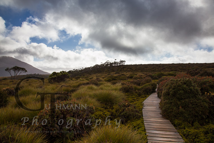 Tasmanien Overland Track