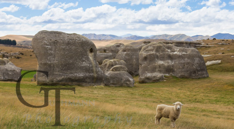 Neuseeland Elephant Rocks