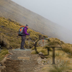 Neuseeland Wandern Great Walk Kepler Track
