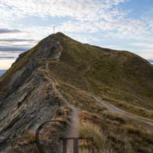 Neuseeland Weg zum Roys Peak