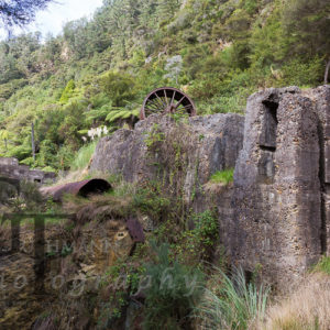 Neuseeland Nordinsel karangahake gorge tunnel