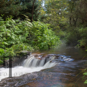 Neuseeland kerosene creek heißer Fluss bei Rotorua