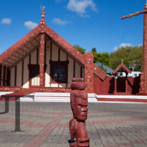 Neuseeland Nordinsel Rotorua