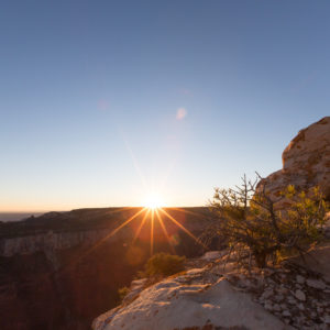 Usa Arizona Grand Canyon North Rim