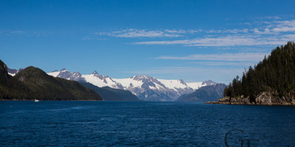 Alaska Seward Waldtour Major Marine Tours