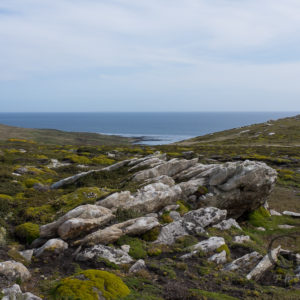 Falklandinseln Falklands Islas Malvinas