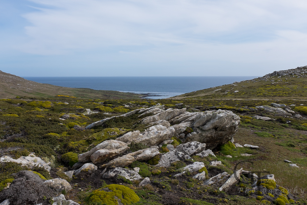 Falklandinseln Falklands Islas Malvinas