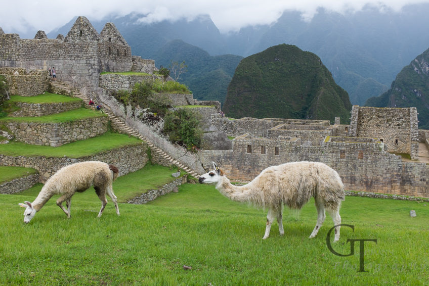 Aussicht auf Machu Picchu vom Huayna Picchu und Montaña
