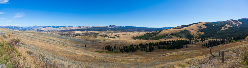 Yellowstone Nationalpark Graslandschaft