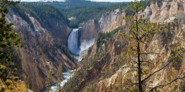 Yellowstone Nationalpark Lower Fall