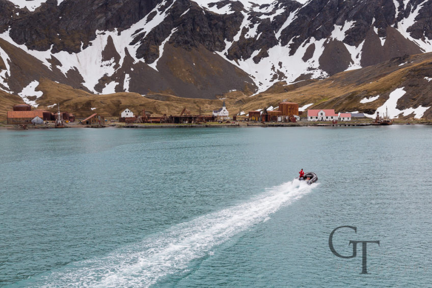 Längst vergangene Tage in Grytviken – dunkle Vergangenheit des Walfangs