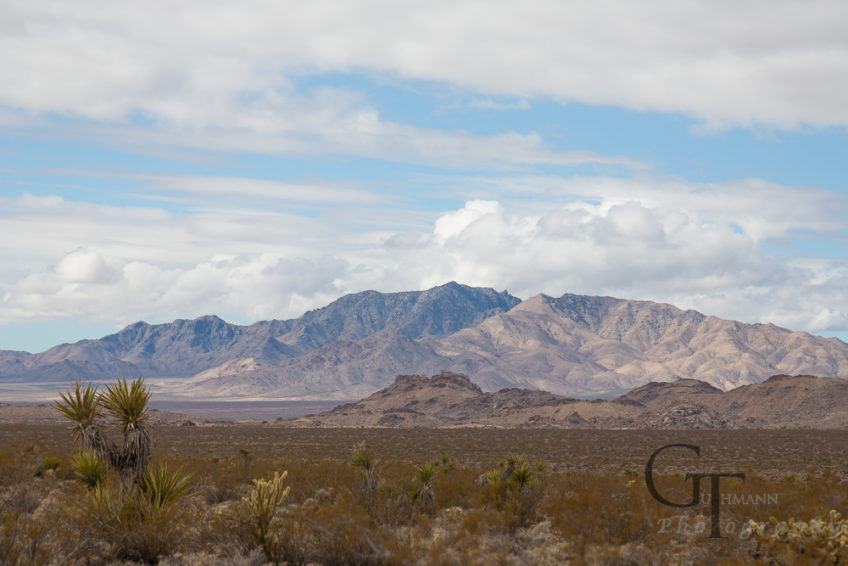 Unterwegs in den Wüsten der USA – die Mojave-Wüste