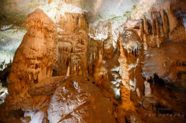 Tropfsteine im Überfluss – die Höhlen von Postojna
