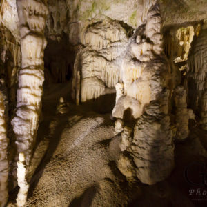 Slowenien Höhlen von Postojna