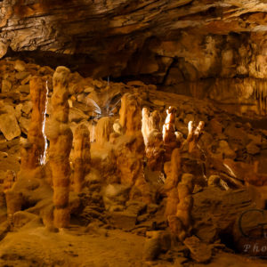 Slowenien Höhlen von Postojna