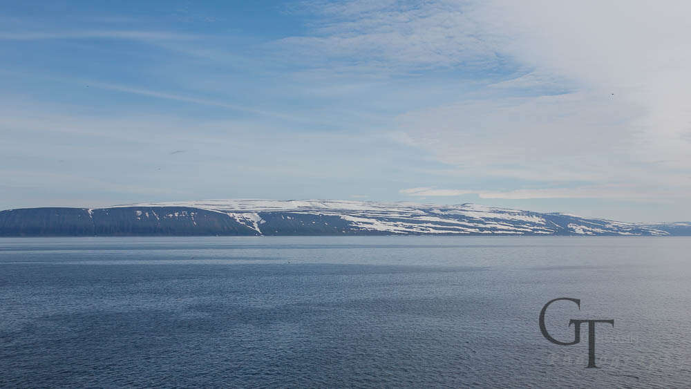 Island Westfjorde Hornstrandir